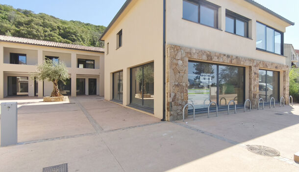 Local commercial  à vendre Porticcio 20166