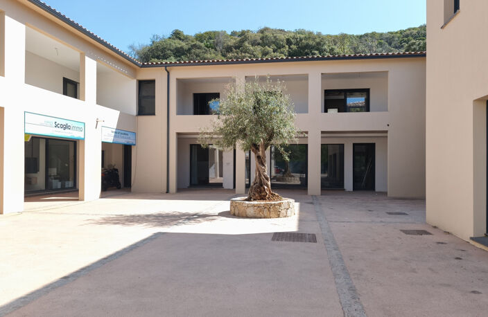 FRAIS DE NOTAIRE OFFERTS ! MURS COMMERCIAUX 62.32 m2 - LOT 4 -  PORTICCIO — photo 4