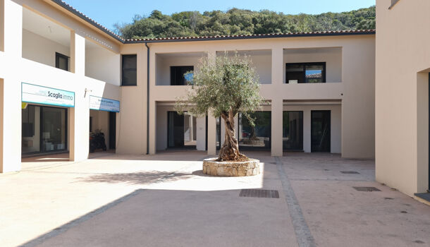 Local commercial  à vendre Porticcio 20166