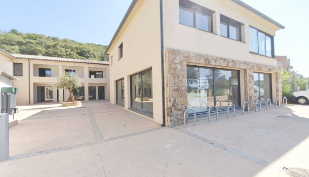 Local commercial  à vendre Porticcio 20166