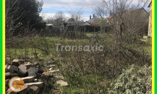Photo N° 4