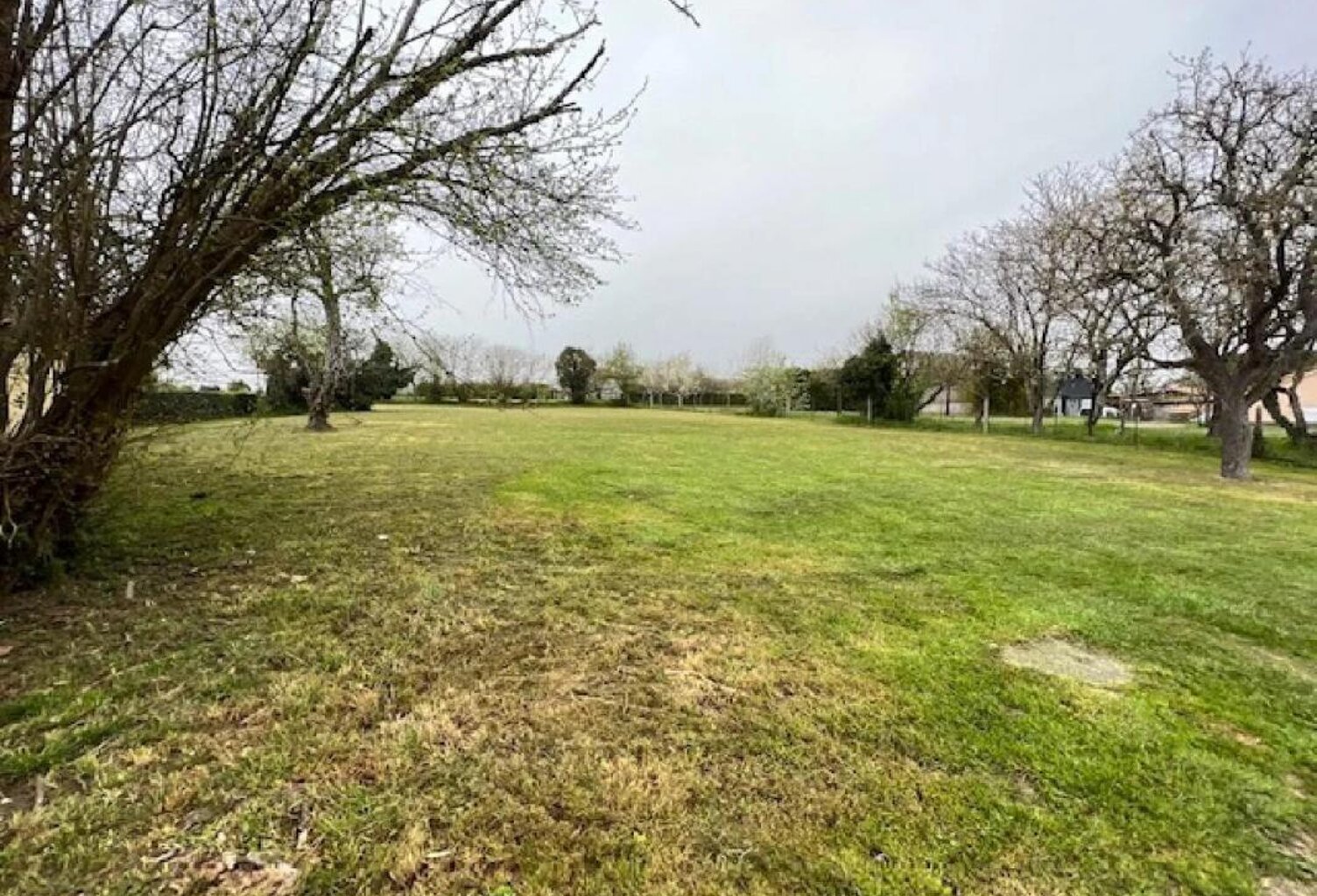Terrain — photo 1