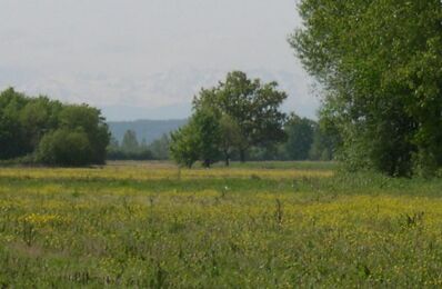 vente terrain 19 000 € à proximité de Scieurac-Et-Flourès (32230)