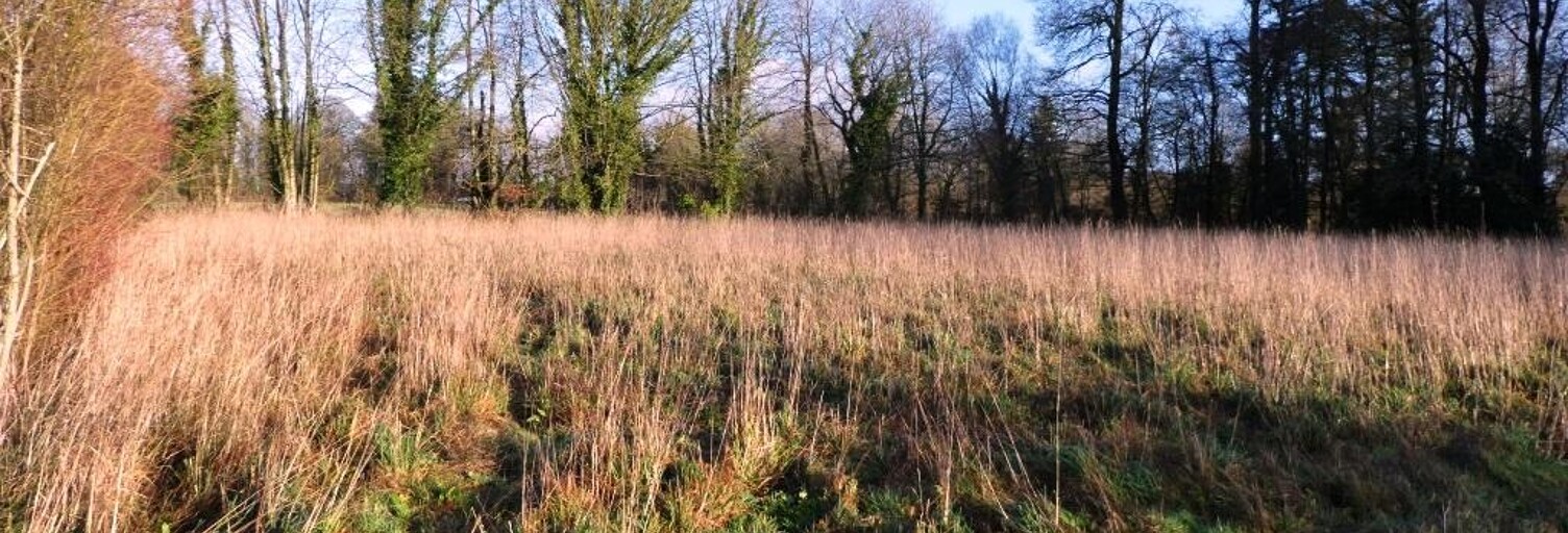 Terrain  4900 m² à vendre à Locmalo (56160)