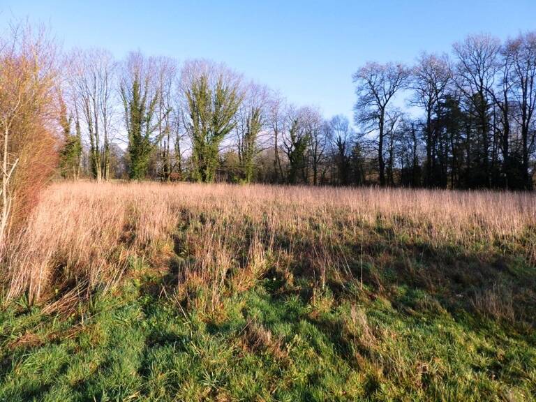 Terrain agricole — photo 1