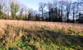 Terrain  4900 m² à vendre à Locmalo (56160)