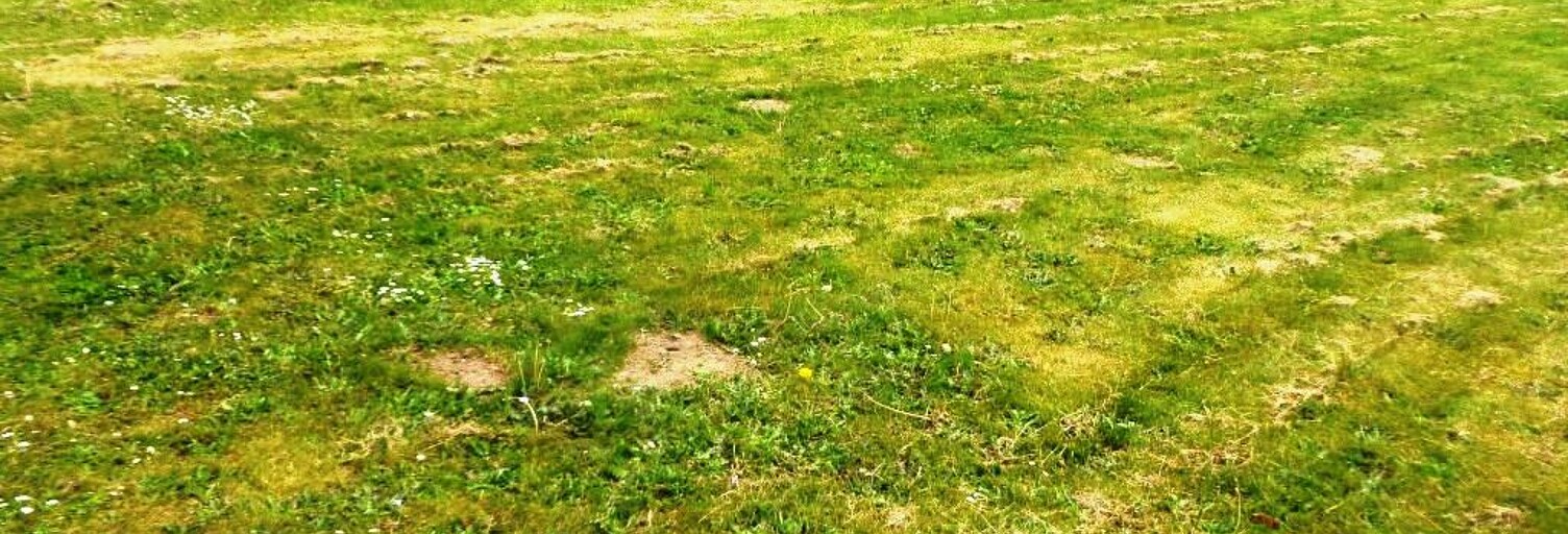 Terrain  750 m² à vendre à Locmalo (56160)