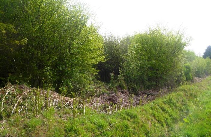 Longère — photo 4