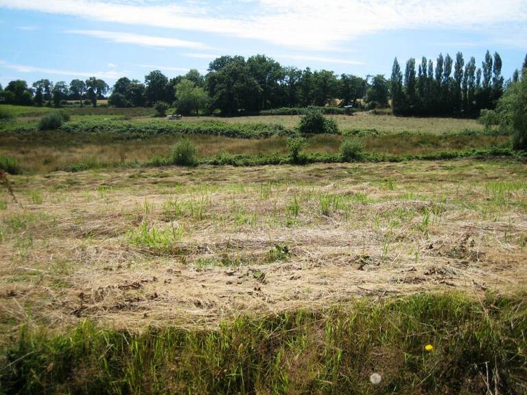 Terrain à bâtir — photo 1