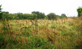 Terrain  800 m² à vendre à Locmalo (56160)