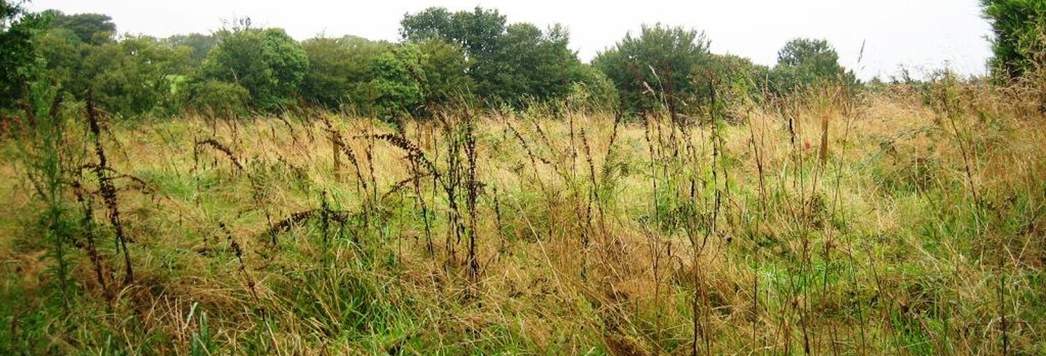 Terrain  800 m² à vendre à Locmalo (56160)