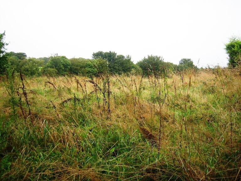 Terrain à bâtir — photo 1