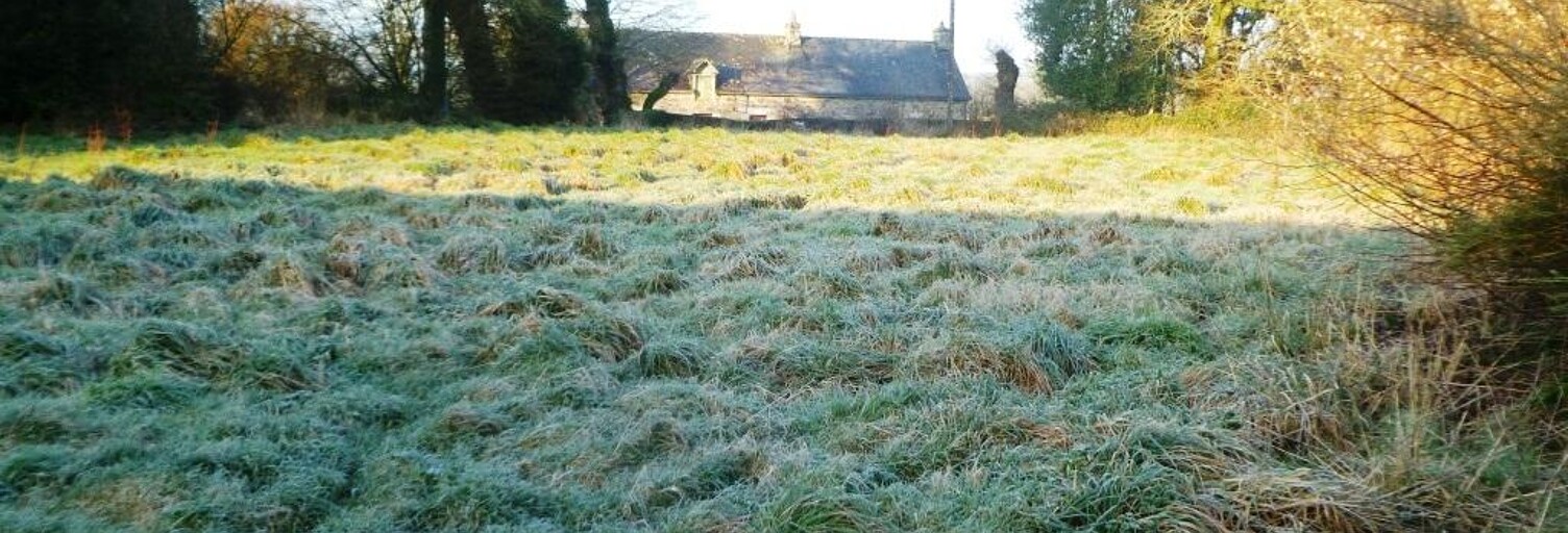 Terrain  1300 m² à vendre à Langoëlan (56160)