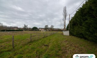 Photo N° 5