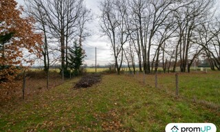 Photo N° 6