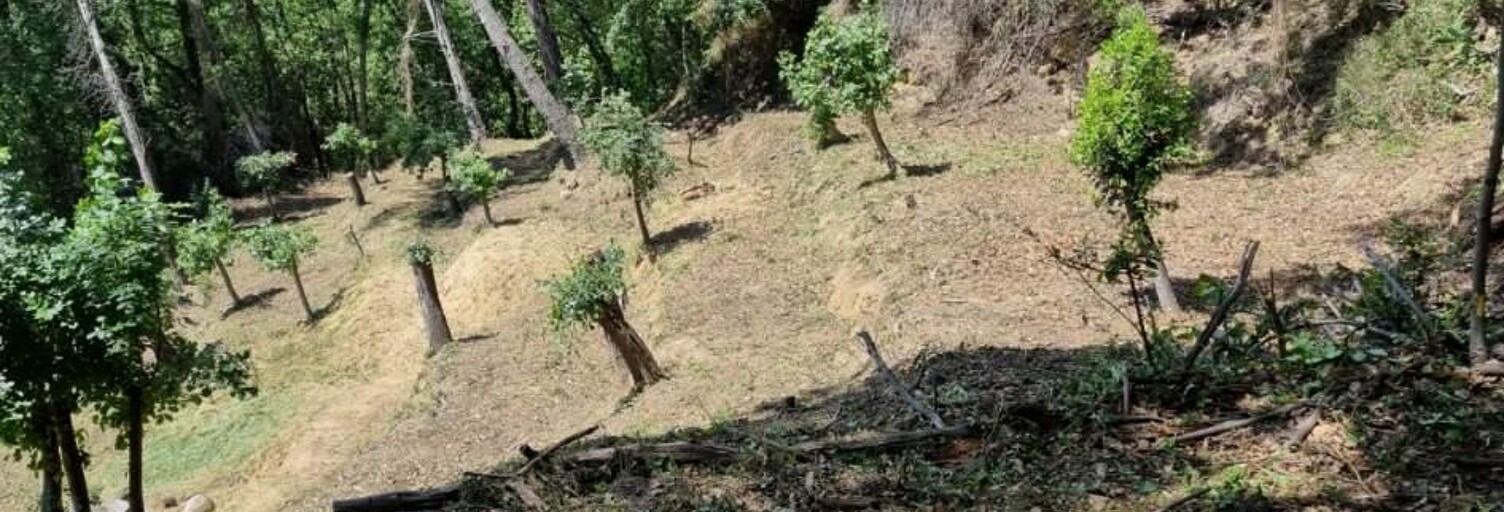 Maison  2048 m² à vendre à Gorbio (06500)