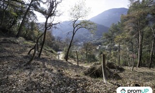 Photo N° 5