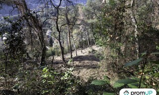 Photo N° 6