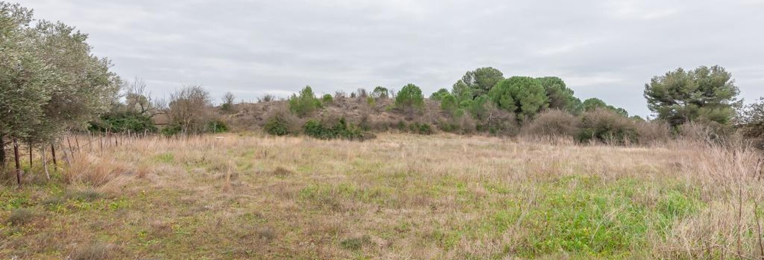 Terrain  10610 m² à vendre à Lunel-Viel (34400)