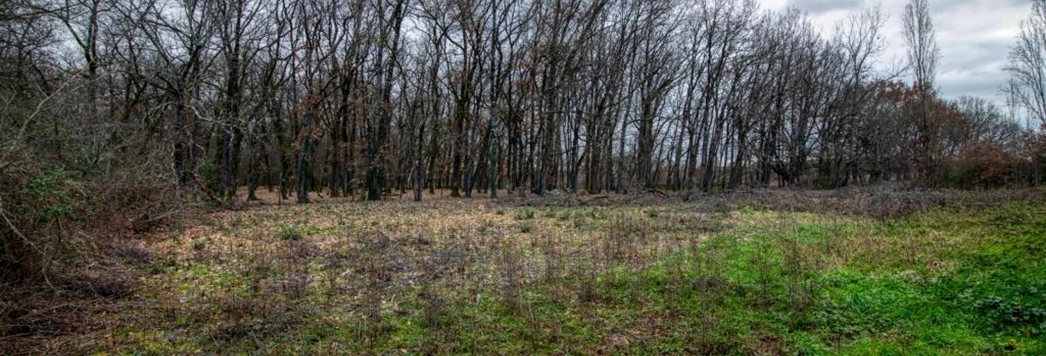 Terrain  2689 m² à vendre à Dieupentale (82170)