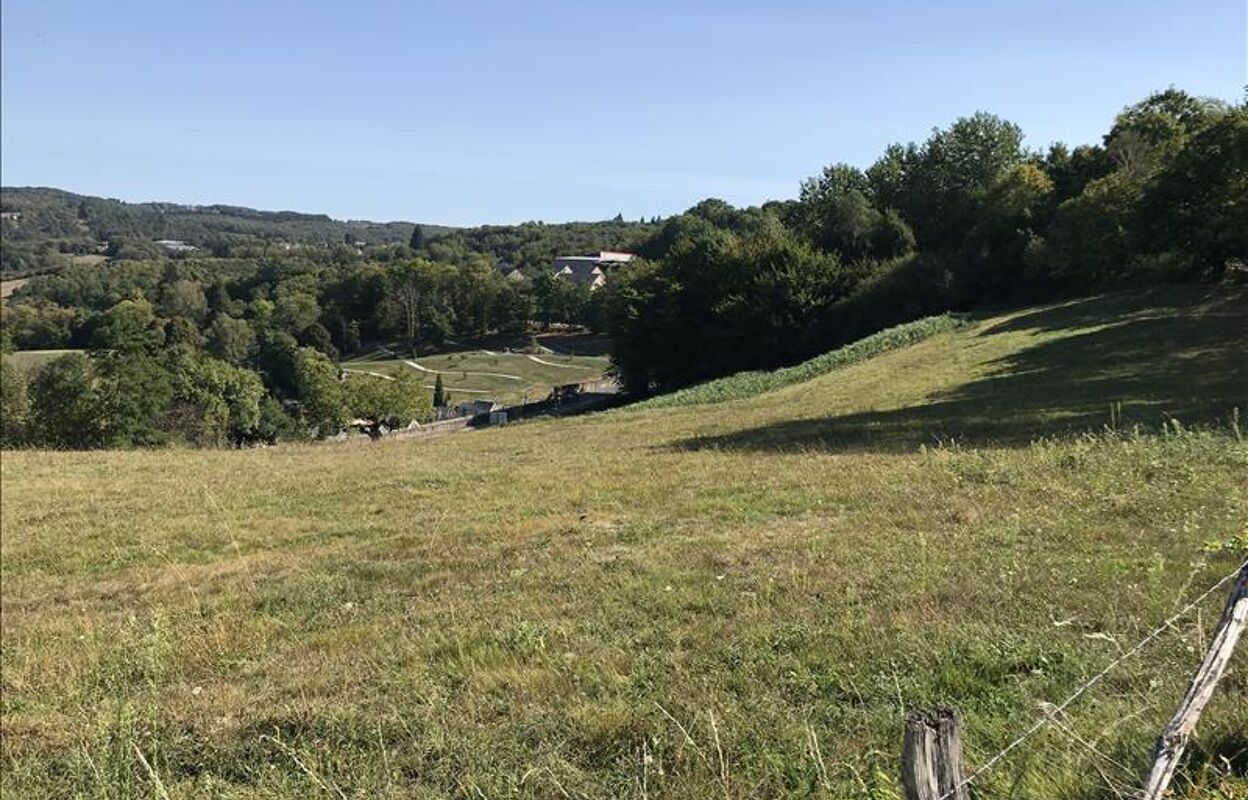 terrain  pièces 2053 m2 à vendre à Beynat (19190)