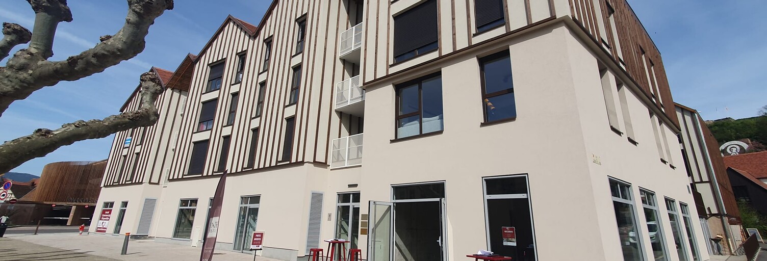 Appartement 4 Pièces 114 m² à vendre à Obernai (67210)