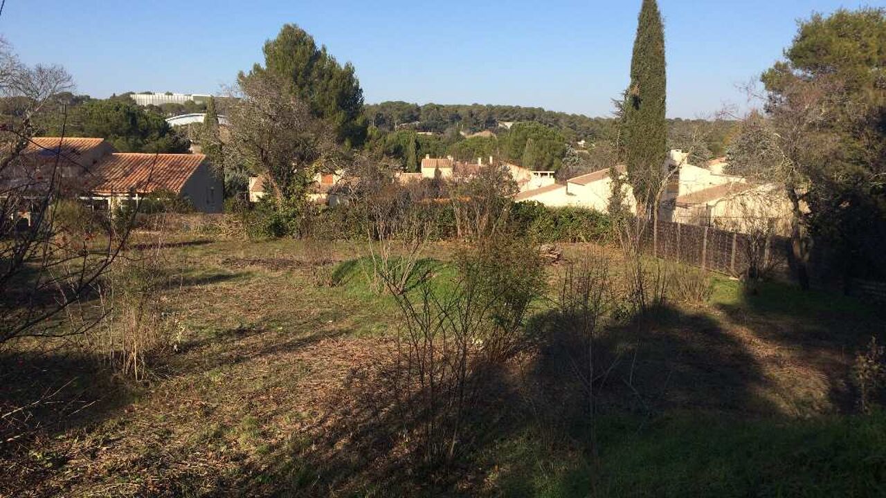 terrain  pièces 650 m2 à vendre à Montpellier (34000)