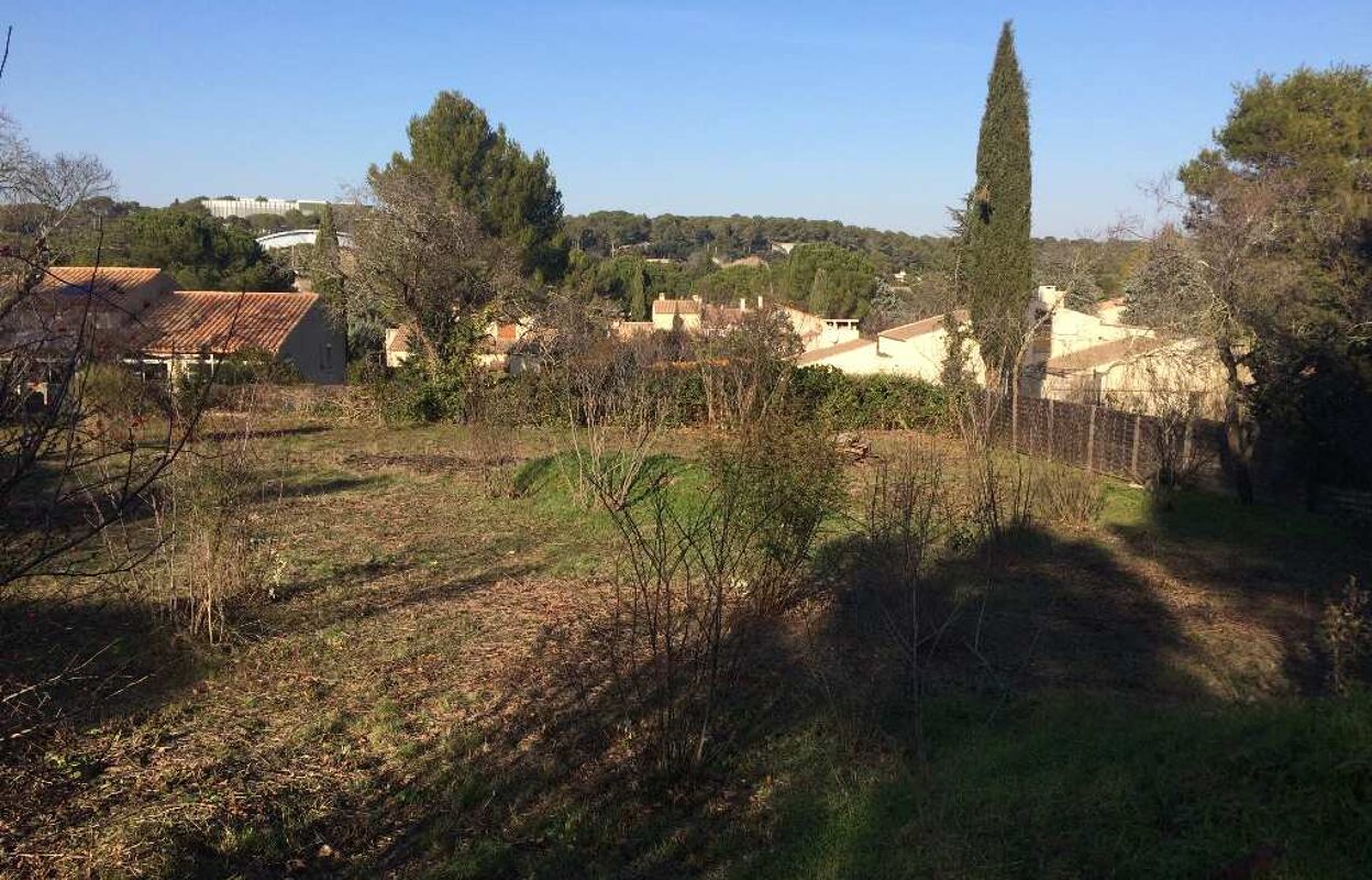 terrain  pièces 650 m2 à vendre à Montpellier (34000)