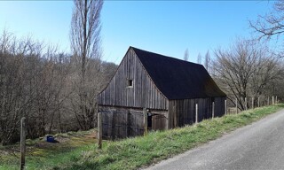 Photo N° 4