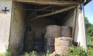 Photo N° 3
