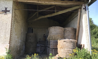 Photo N° 3