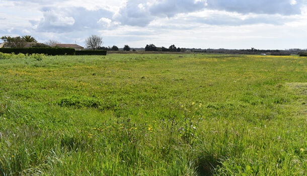 Terrain  à vendre Brée-les-Bains (La) 17840