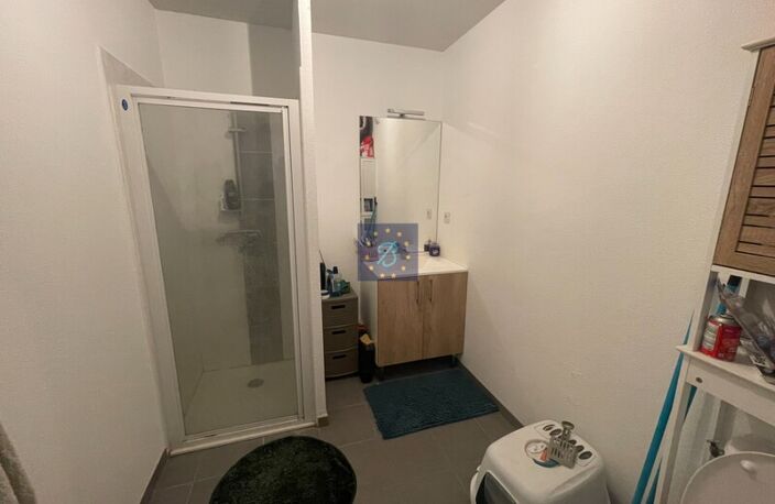 Studio — photo 4