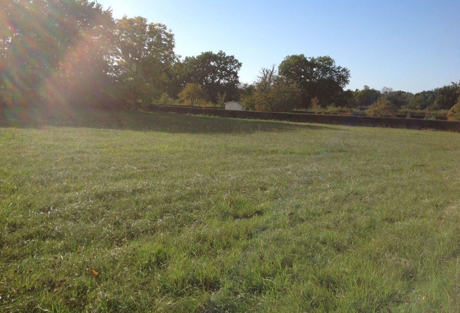 Vente terrain  3000 m² Bélâbre (36370) — photo 1