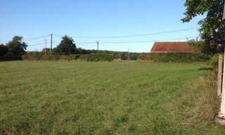 Photo N° 2