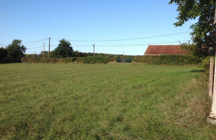 Vente terrain  3000 m² Bélâbre (36370) — photo 2