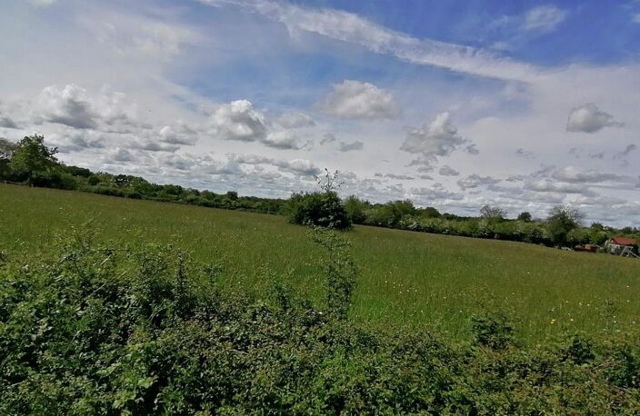 Vente terrain  3000 m² Bélâbre (36370) — photo 4