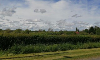 Photo N° 7