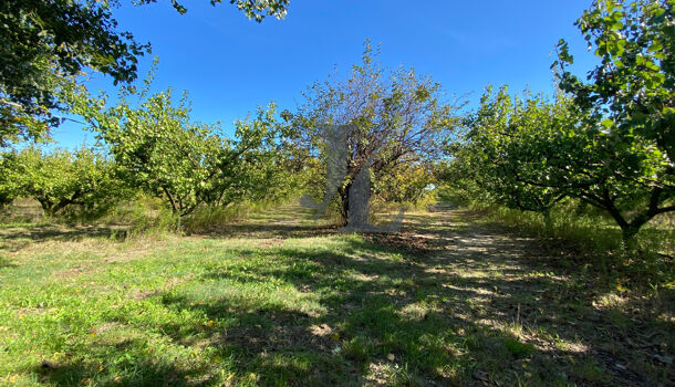 Villa / Maison 5 pièces  à vendre Étoile-sur-Rhône 26800