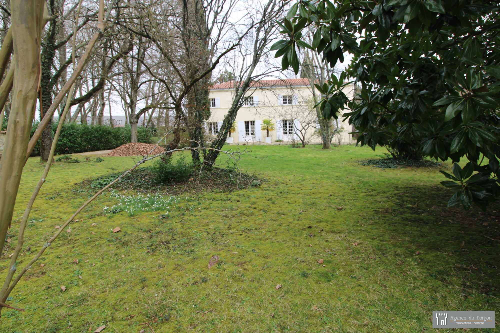 Villa / Maison 12 pièces  à vendre Jonzac 17500
