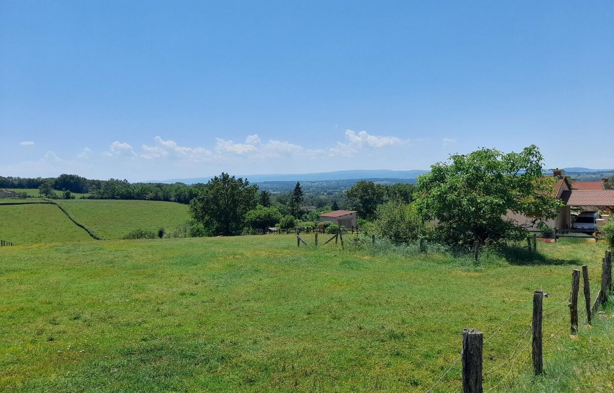 terrain  pièces 3990 m2 à vendre à Marcigny (71110)