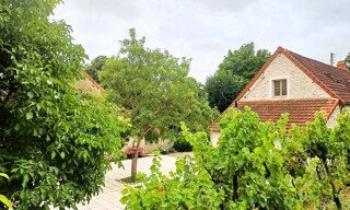 Photo N° 5