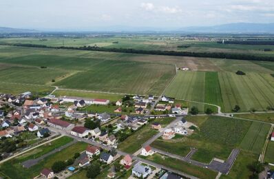 vente terrain 99 900 € à proximité de Ungersheim (68190)