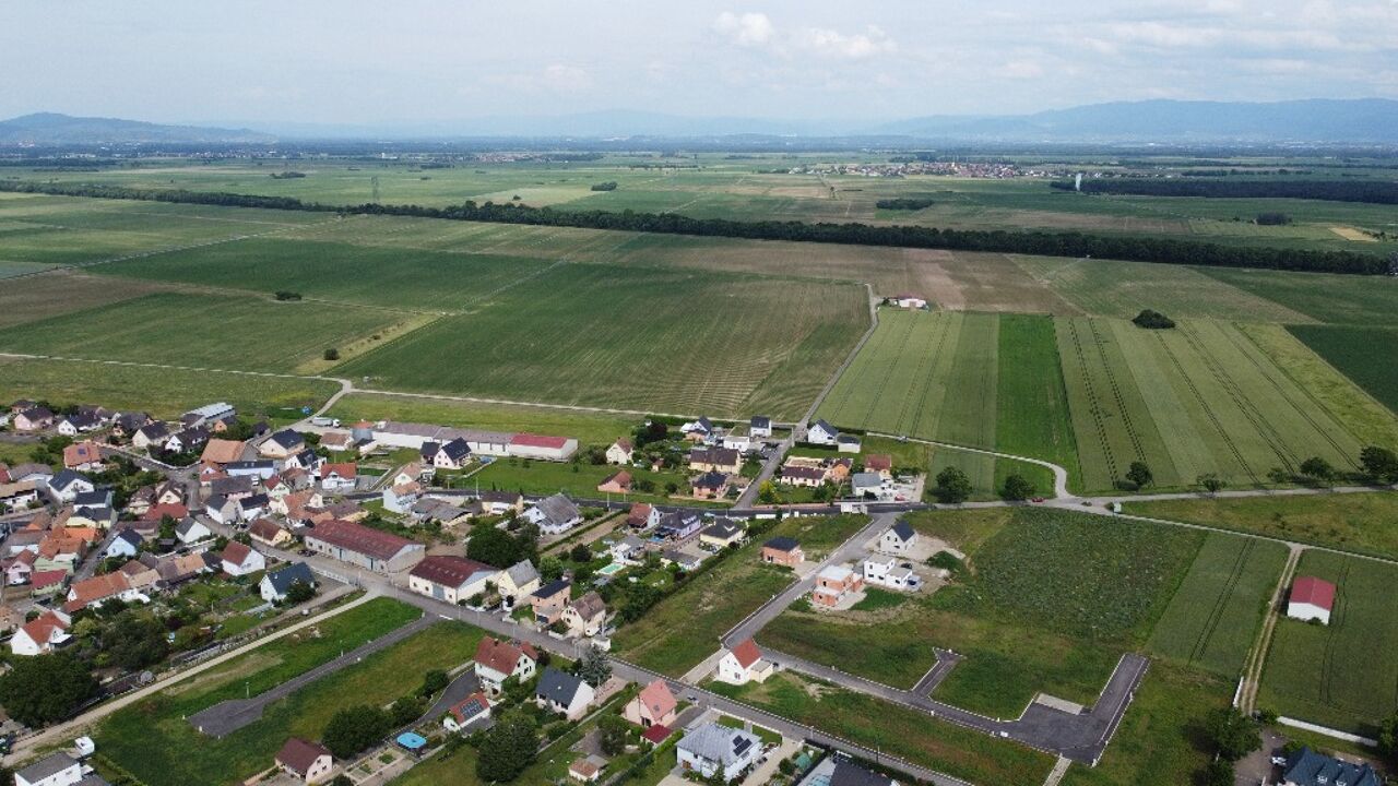 terrain  pièces 515 m2 à vendre à Dessenheim (68600)