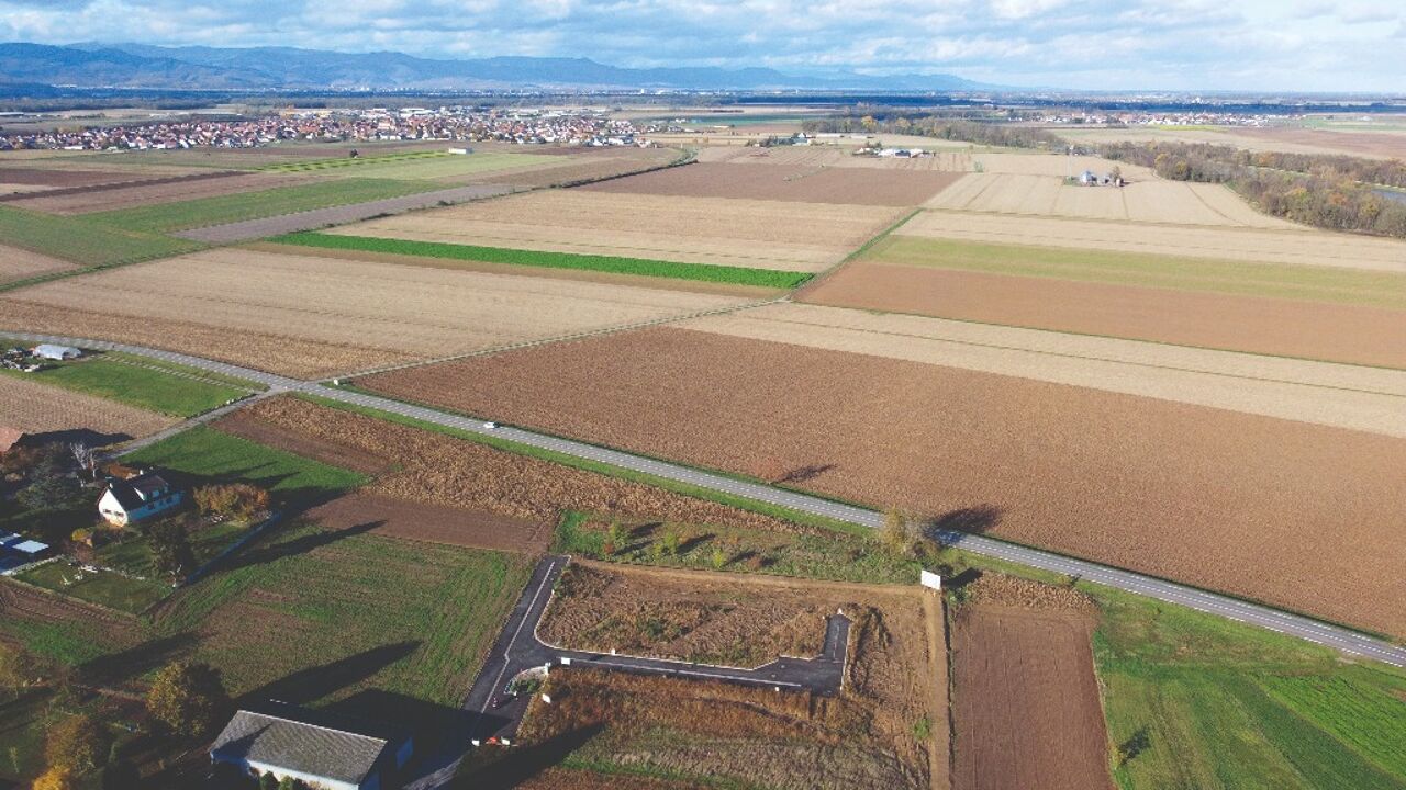 terrain  pièces 413 m2 à vendre à Sainte-Croix-en-Plaine (68127)