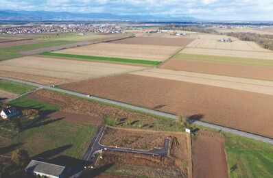 terrain  pièces 356 m2 à vendre à Sainte-Croix-en-Plaine (68127)