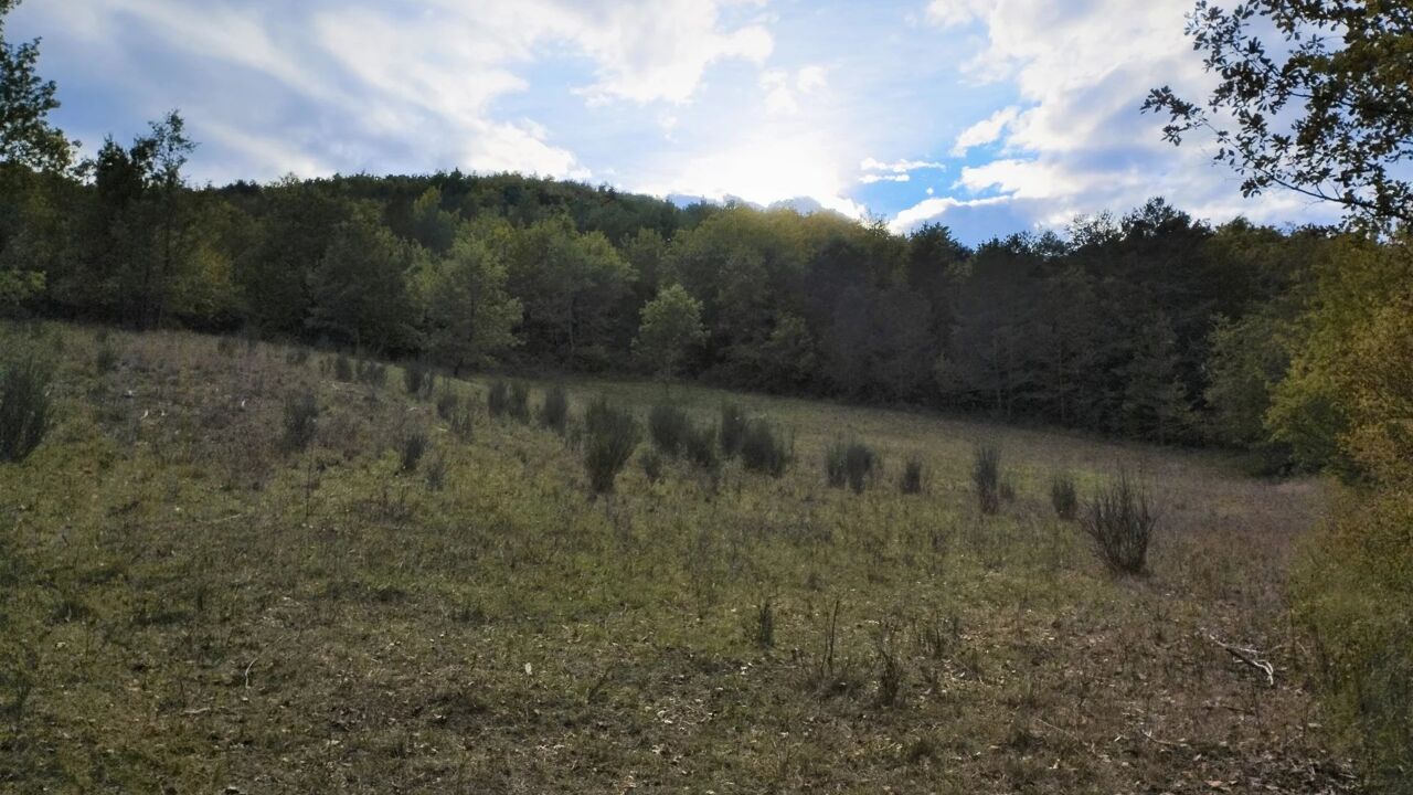 terrain  pièces 5030 m2 à vendre à Rouvenac (11260)