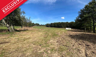 Terrain  1556 m² à vendre à Toucy (89130)