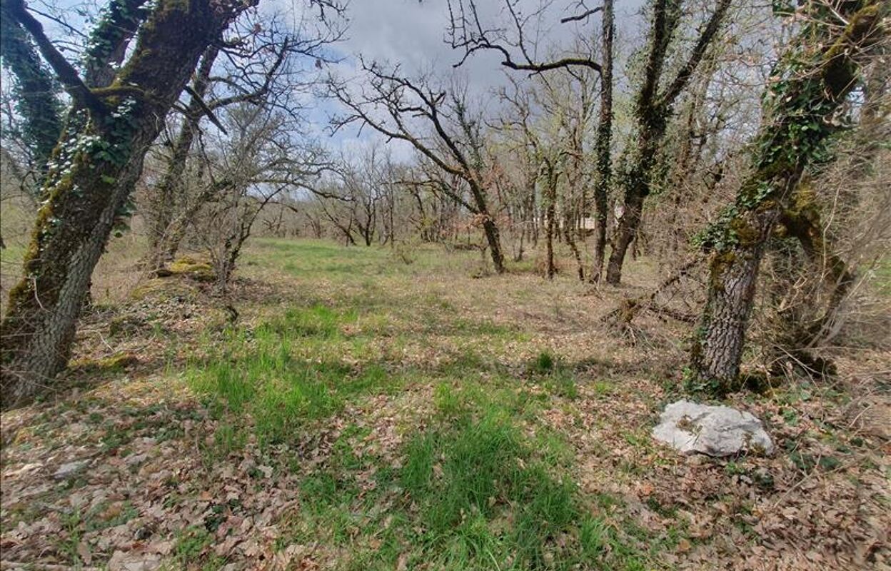 terrain  pièces 2640 m2 à vendre à Aujols (46090)