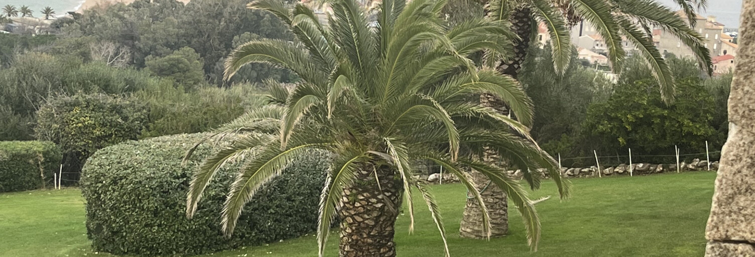 Divers  1200 m² à vendre à Ajaccio (20000)